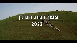 רמת הגולן  Ramat Agolan israel 2022