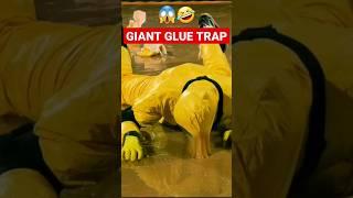  Giant Glue Trap #shorts