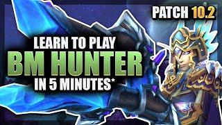 INSANE 5 Minute Beast Mastery Hunter Guide For Patch 10.2