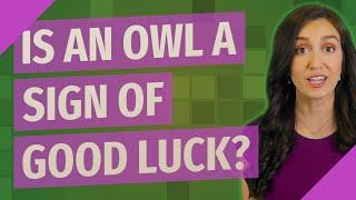 Is an Owl a sign of good luck?