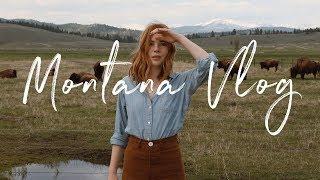 PrettyLittleFawn  Montana Vlog