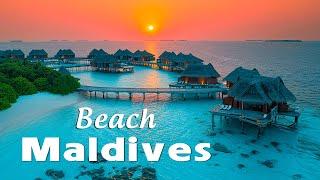 Luxury Maldives Beach Lounge at Sunset - Chillout Background Music for Work and Study