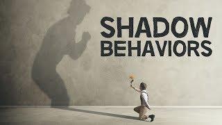 4 Examples Of Shadow Behavior  Q&A #6  August 2019