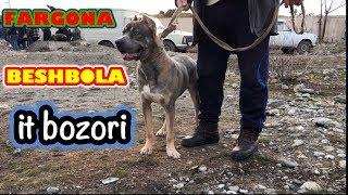 BESHBOLA IT BOZORI Fargona