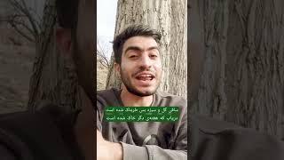 یک رباعی حیرت‌انگیز از خیام درباره‌ی بهار و سیزده بدر