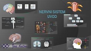 Centralni Nervni Sistem - 1. Uvod