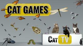 CAT Games  Ultimate Cat TV Bugs and Butterflies Compilation Vol 3 🪲   Videos For Cats to Watch