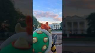 Koopalings go to The White House 
