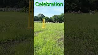 Celebration #cricketwithsachinbora #shortsvideo #viralvideo #trendingshorts