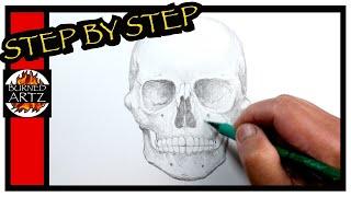 How to Draw a SKULL Front View STEP BY STEP