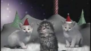 Jingle Cats perform  Very Adorable