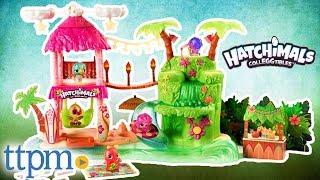 Hatchimals Colleggtibles Tropical Island Party Playset Review  Spin Master Toys