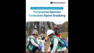 Penanaman Species Tumbuhan Alpine Grasberg  Hari Lingkungan Hidup Sedunia 2024