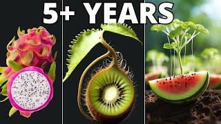 Growing Plants in 4K Time Lapse Compilation 5+ Years