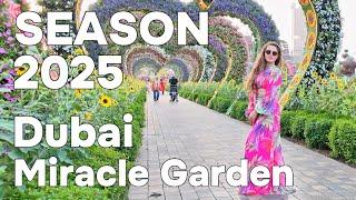 Dubai  Amazing Miracle Garden New Season 2025 4K Walking Tour