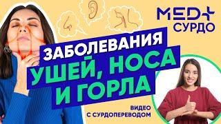 Заболевания ушей носа и горла все что вам нужно знать. Советы ЛОРа с сурдопереводом