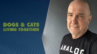 Dogs & Cats Living Together with Larry Janus - TWiRT Ep. 704