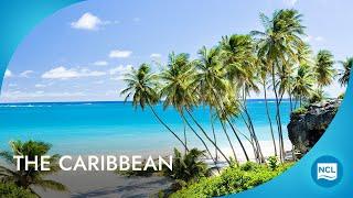 Best Cruises to Caribbean  2024 - 2025 Cruises  Norwegian Cruise Line