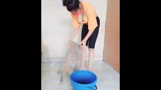 House Cleaning Vlog  Bathroom Cleaning  Desi Downblouse  Indian Downblouse