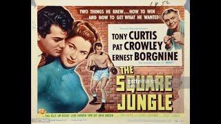 The Square Jungle 1955 Tony Curtis & Patricia Crowley Full Movie ENGLISH SPORT Drama Crime