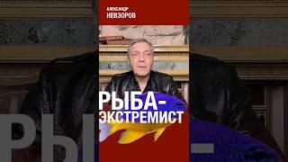 @NevzorovTV — экстремальная жизнь в России