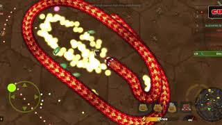 Rắn săn mồi phiên bản mới Little Big Snake Slither.Io new version