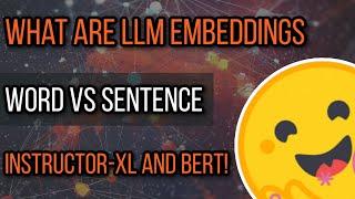 What Is Positional Encoding? How To Use Word and Sentence Embeddings with BERT and Instructor-XL