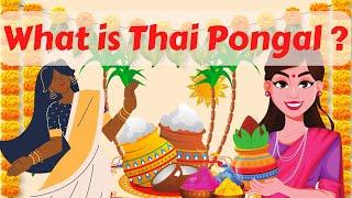 What is Thai Pongal ?  Stories about Festivals   Kids Stories