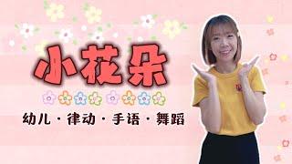 小花朵《音乐律动手语》