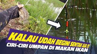 JADI BEGINI  cara nila narik umpan di spot dangkal  Mancing nila di Kalimantan Selatan