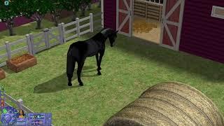 Horses in Sims 2