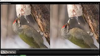 Сортировка и атрибутирование фотографий