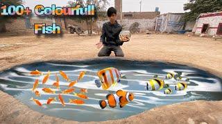 Bahut saary Colorful fish mini zoo may lay aay