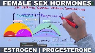 Female Sex Hormones  Estrogen & Progesterone