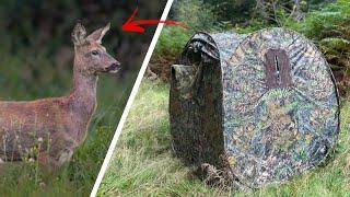 This Hide is GAME-CHANGING - Tragopan Grouse V+