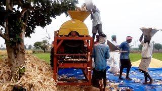 Corn Peeling Machine Working  How Its Made  Agriculture Machines  KNP Tech TV