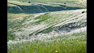 Восстановление ландшафта на Куликовом поле