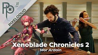 Xenoblade Chronicles 2 - Mor Ardain Night  PixeloDuo Flûte Marimba @Pixelophonia