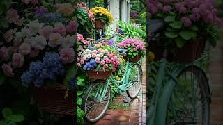 Relaxation in a Beautiful Flower Bike Garden #gentlerain