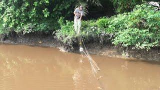 Jaring Ikan Lampam Wader Tawes Selama 10minit Dapat hasil Besar Ukuran Monster