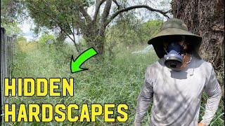HOMEOWNER SURROUNDED BY OVERGROWTH- RESTORING THIS PROPERTY PART ONE