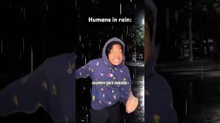 How it is for Humans in the Rain VS Ants in the Rain  #comedy