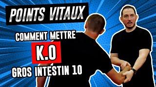 Comment faire un KO sur le POINT DE PRESSION Gros Intestin 10 Kyusho Jitsu