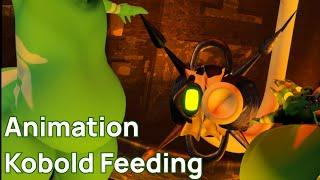 Kobold feeding Weight gain Inflation