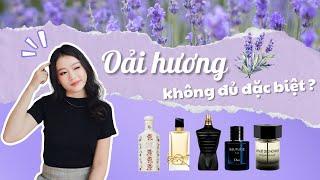 TỪ ĐIỂN NƯỚC HOA Thành phần chủ đạo gợi lên sự cuốn hút nước hoa nam - Oải hương  Missi Perfume