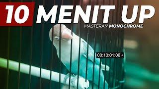 MASTERAN LOVEBIRD DURASI 10 MENIT UP - MONOCHROME