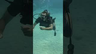 Diving Eden Rock Grand Cayman