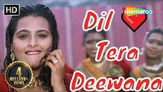 Dil Tera Deewana Hai  Kumar Sanu Hit songs  Sunil Shetty  Shilpa Shirodkar  Raghuveer 