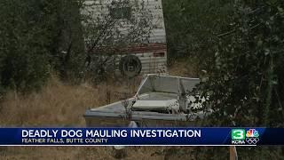 25 Great Danes Seized  Neighbors upset after Butte County woman mauled to death by dogs