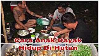 Di Hutan Mencari Makanan FreshTeknik Hidup Di Hutan Anak DayakSurvival Skills.